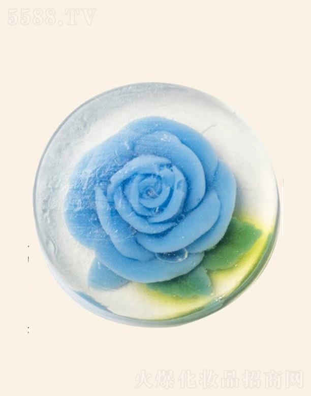 �V���G������Ƽ����޹�˾����ܽ���{(l��n)ɫ�����ֹ���