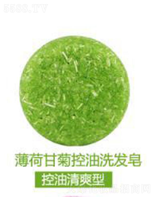 �V���G������Ƽ����޹�˾����ܽ�����ɸʾտ���ϴ�l(f��)��-������ˬ��