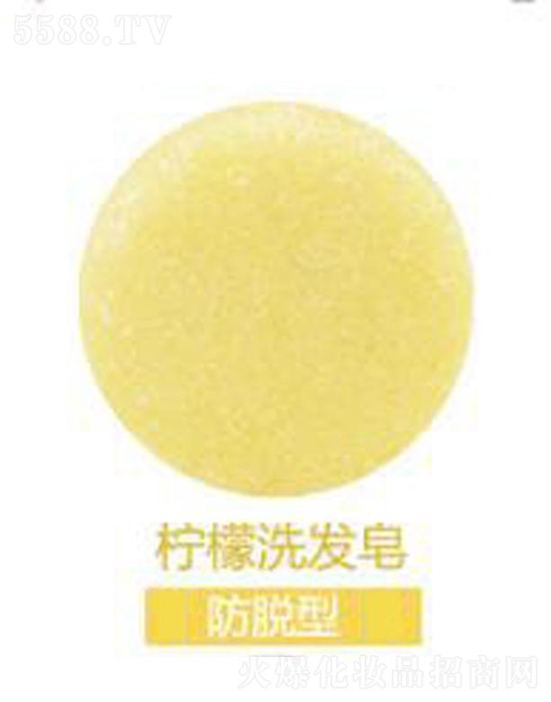 �V���G������Ƽ����޹�˾����ܽ������ϴ�l(f��)��