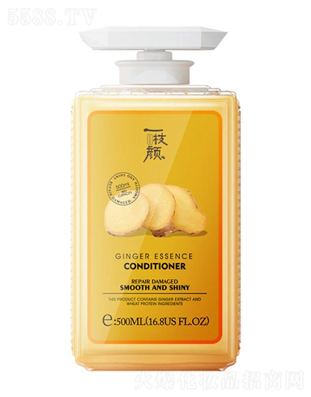 ���y���V�ݣ��Ƽ����޹�˾��һ֦��o�l(f��)��