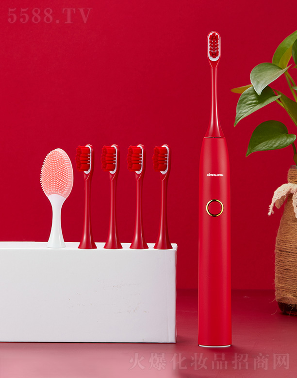 ���������R���Ƽ����޹�˾�����R��ZR501������늄���ˢ-�t