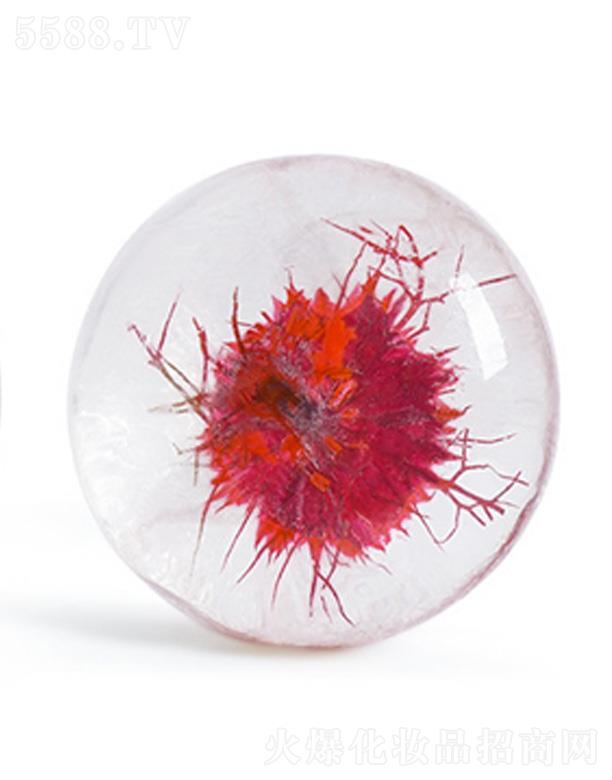 �V���������Ż��yƷ���޹�˾��LIYALAN�tɫ�ڷN�ݰ�����͸�������� 80g