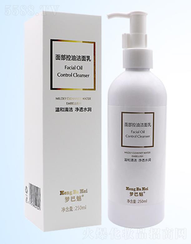 ѩ�n��(�V�|)�����t(y��)ˎ�Ƽ����޹�˾�������ȃ��w������ 250ml�غ͝������ͱ���