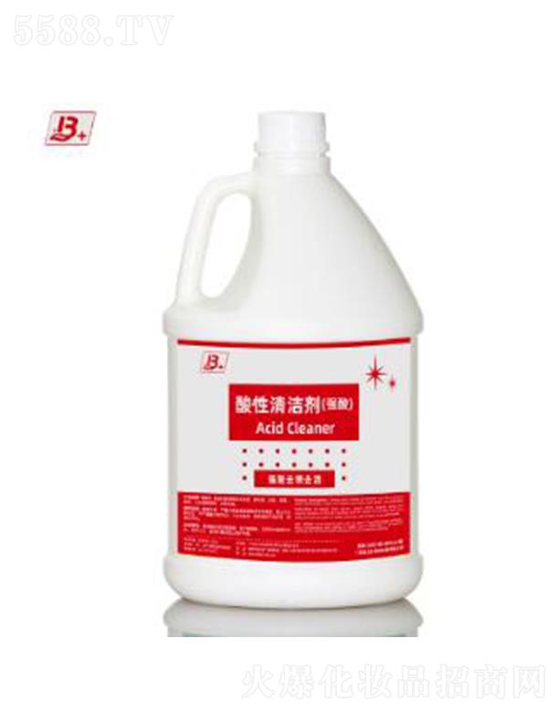 �V�|�������坍�Ƽ����޹�˾��������B+�����坍��