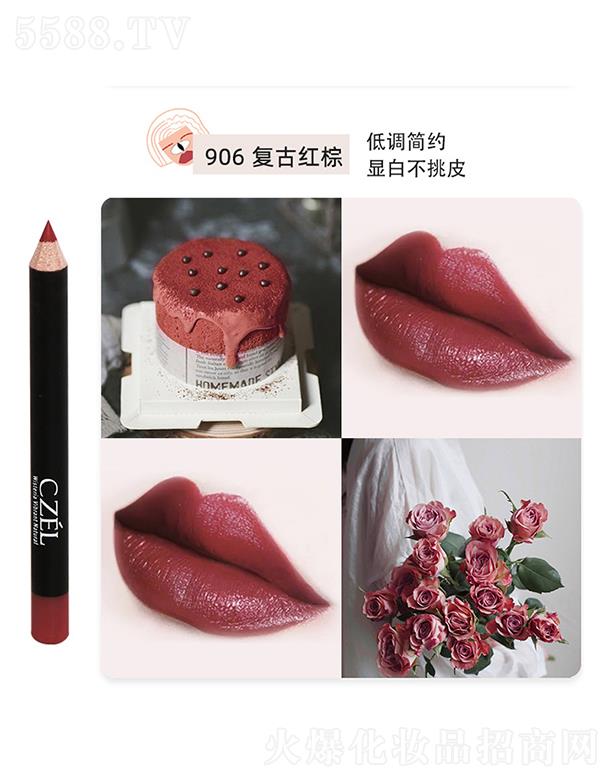 �㽭���`�Pˢ���޹�˾��CZEL��˽q�F΢�񴽾��P906��(f��)�żt��