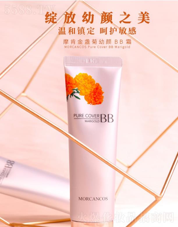 ���݆����Q(m��o)�����޹�˾��Ħ�Ͻ�K�����BB˪