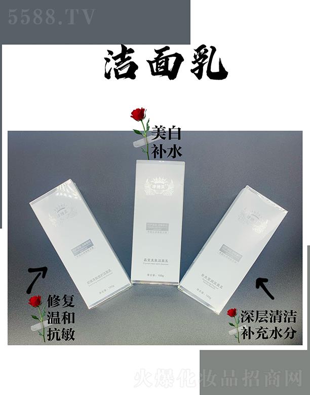 �V���л���ɏ����(x��)�������޹�˾���V���л���ɏ ���������� 100g