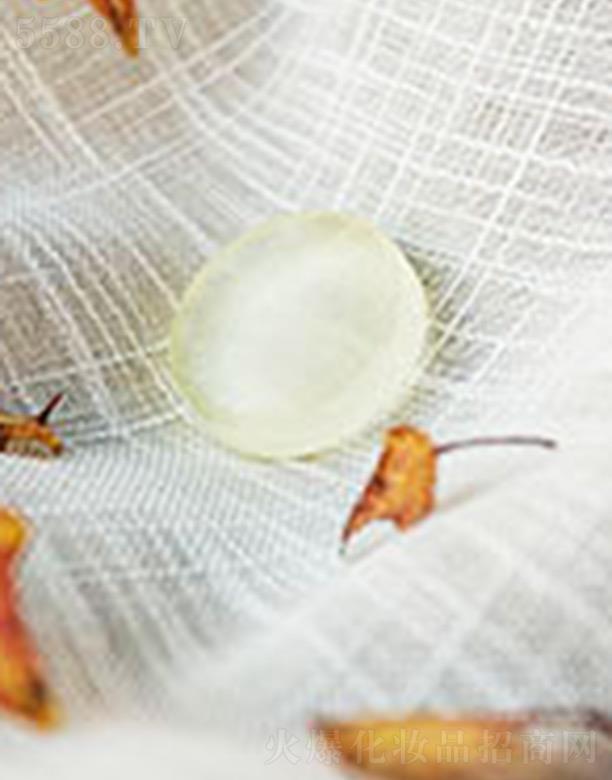 ���݃|���ջ��Ƽ����޹�˾���|���ջ������Ƶ���