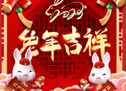 玉兔送福，開(kāi)門(mén)大吉！廣東微肽給您拜年了！