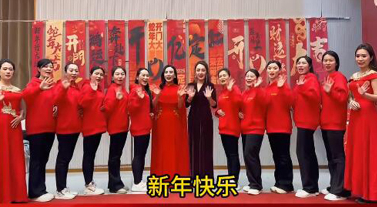 蛇年好運(yùn)至，幸福滿人間！飛斯達(dá)祝您百事從歡，一路向陽！