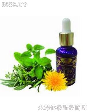 �������I��ˎ��