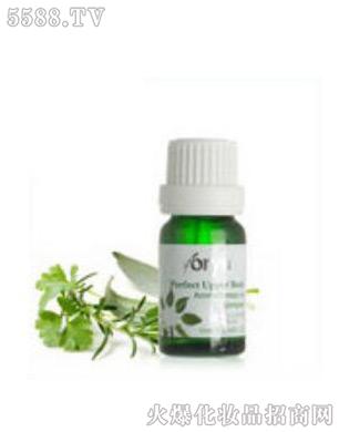 ��Ԫ����ˎ��