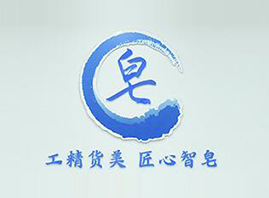 �V������������Ƽ����޹�˾