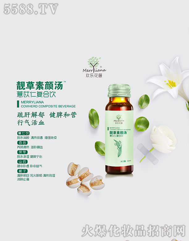 �g��(l��)�����n�����޲���ʏ�(f��)���