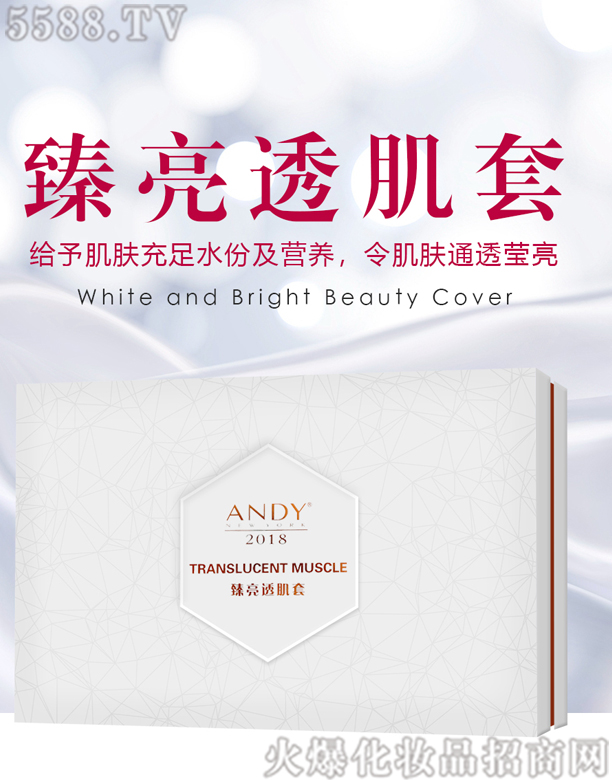 ��������͸����