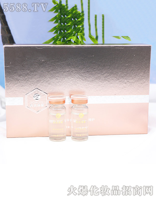 �������R�݌�������