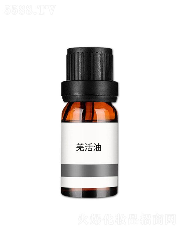 ���nǼ����