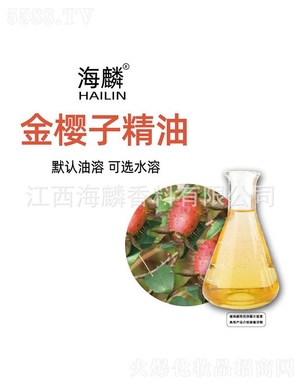 �������Ӿ���