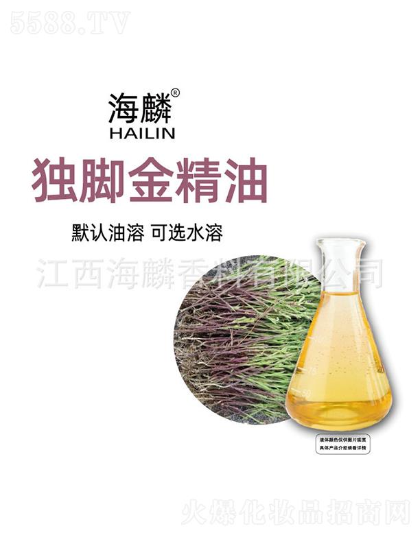 ���몚�_����