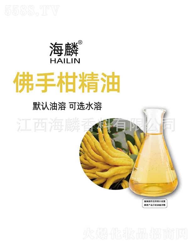 ������ָ̾���