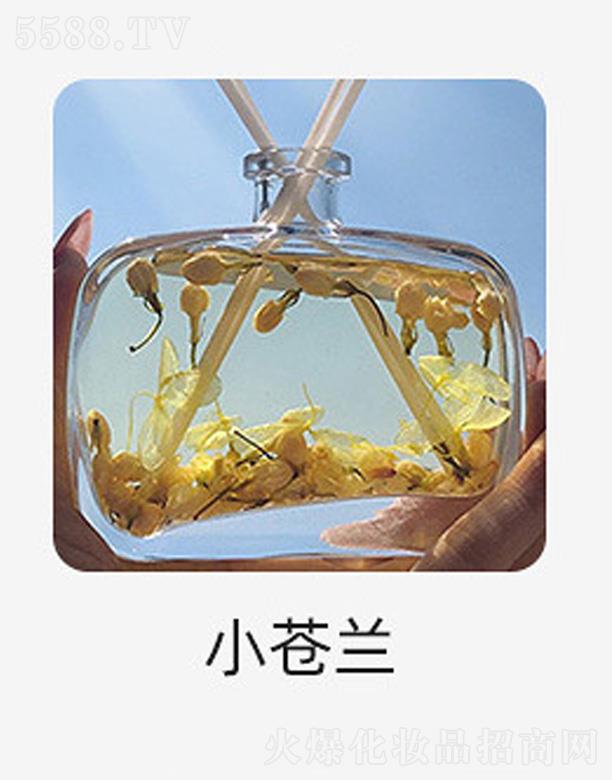 �o����޹����-С�n�m