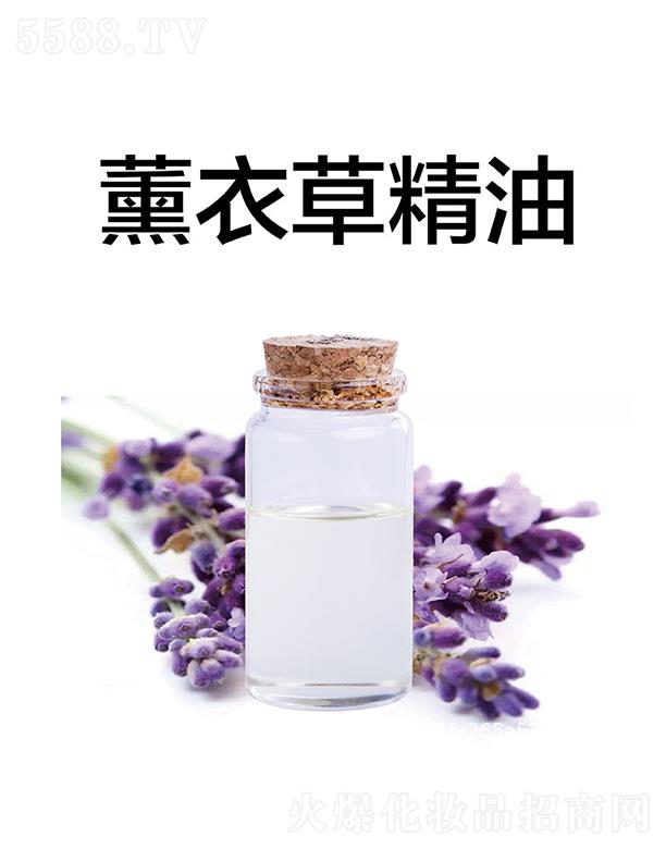 ����޹�²ݾ���