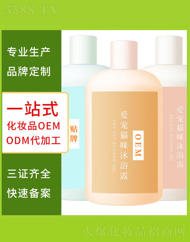 ����؈����ԡ¶