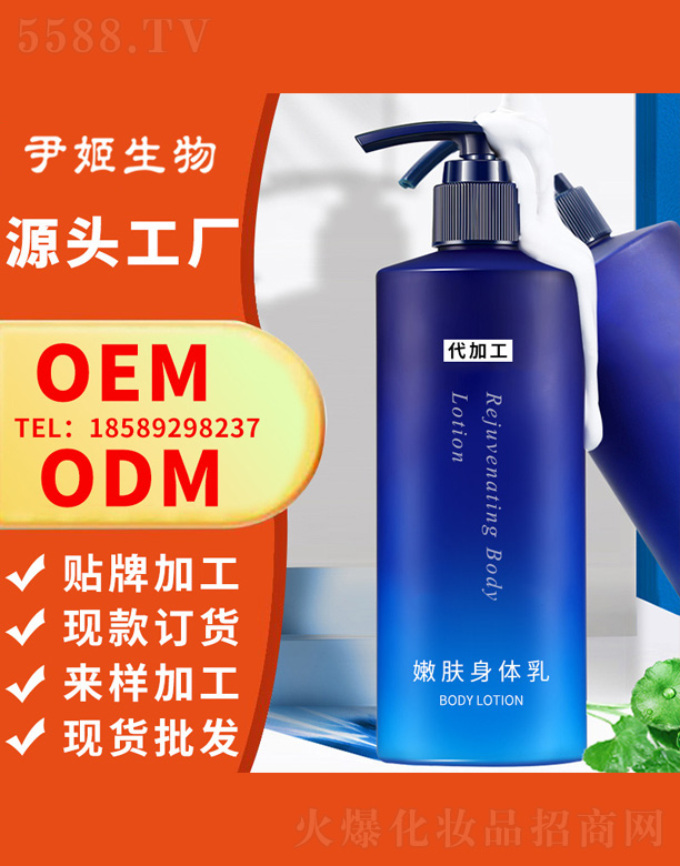 �����̝����w��