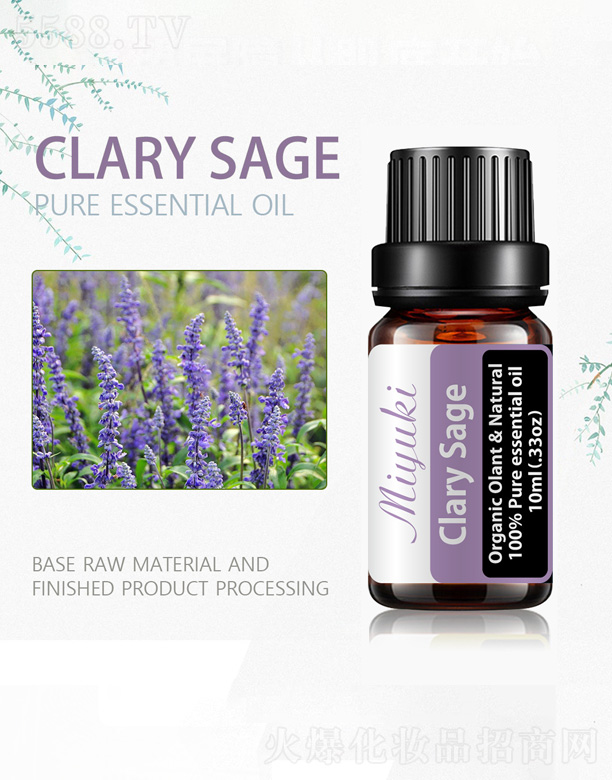 �옷��β�ݾ���