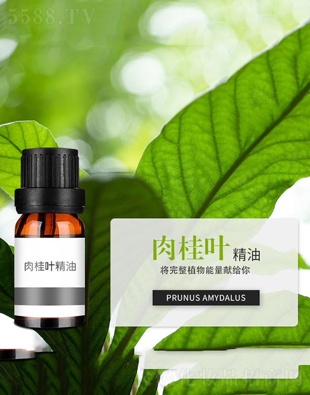 ����~����