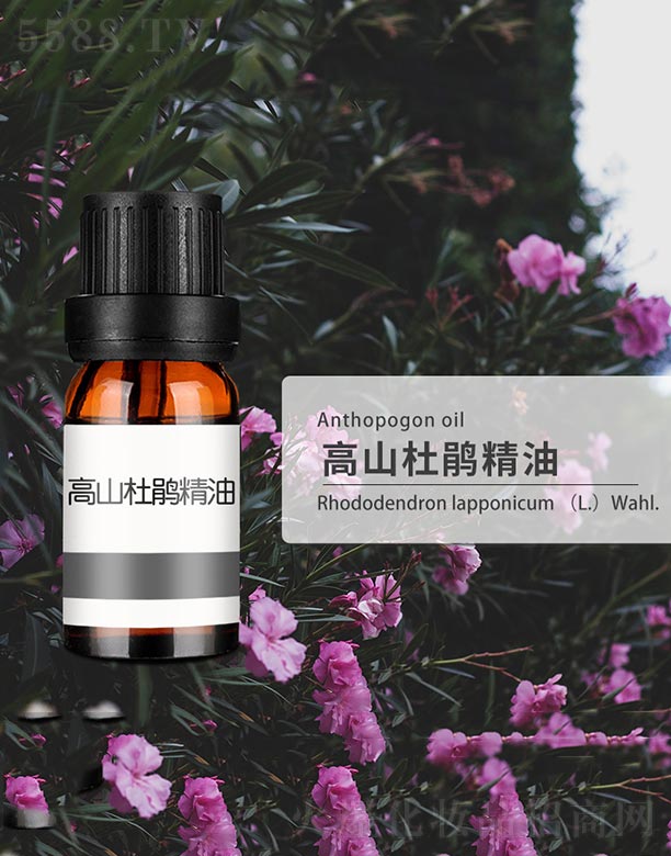 ��ɽ���N����