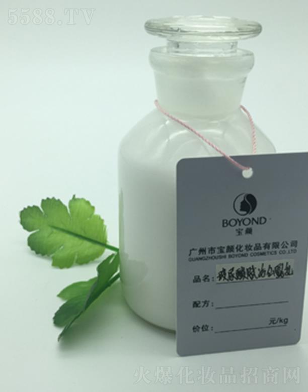 �V�݌�������x����¶��