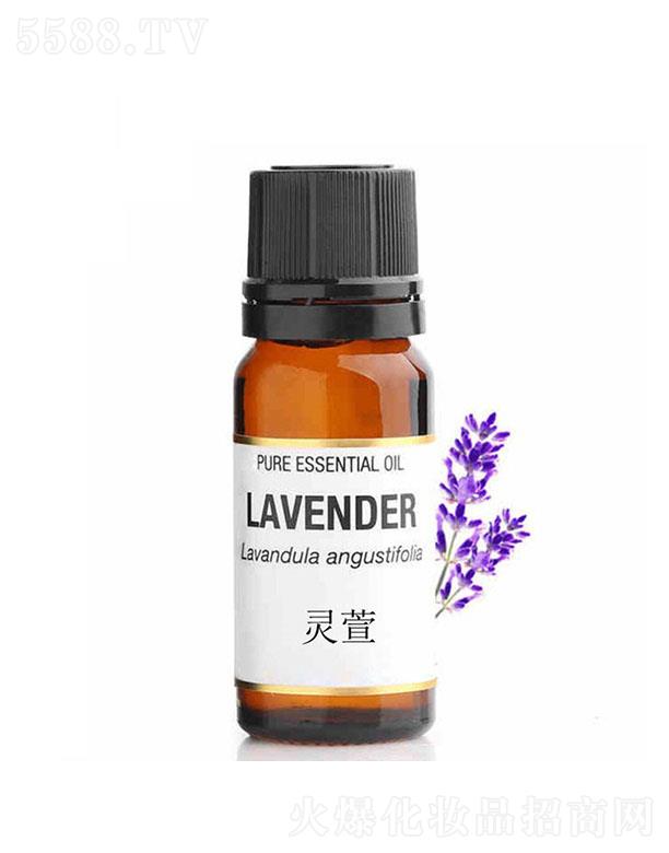 �V�|����Ԋ(sh��)�`��޹�²ݾ���