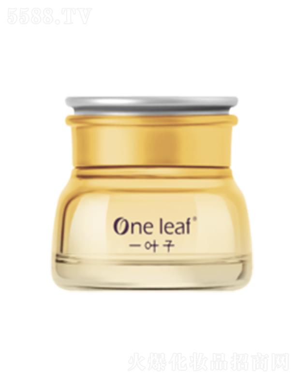 һ�~�ӻ����ͱ������B(y��ng)���A˪