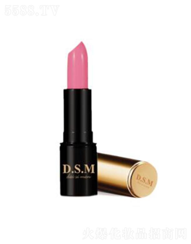 D.S.M��z���������пڼt101 �������|(zh��)�Ѓ�(y��u)�ŵ��@ʾ��