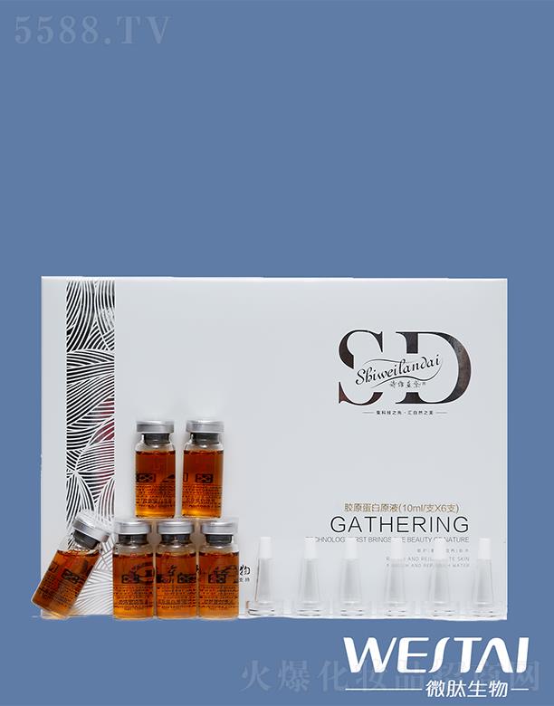 Ԋ�S�{���zԭ����ԭҺ 10ml/֧X6֧�Ӿ�Ƥ�w�ϻ�