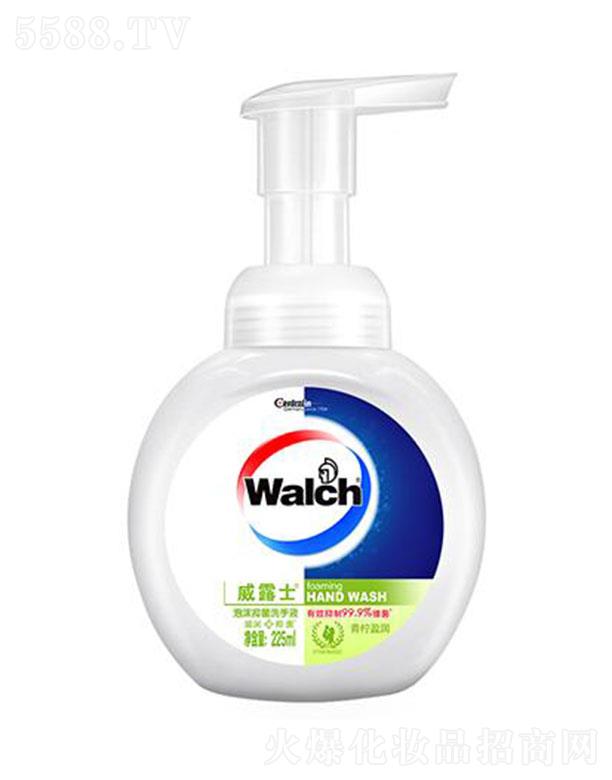 ��¶ʿ��ĭϴ��Һ ����ӯ��(r��n) 225ml���ϼ��˽���