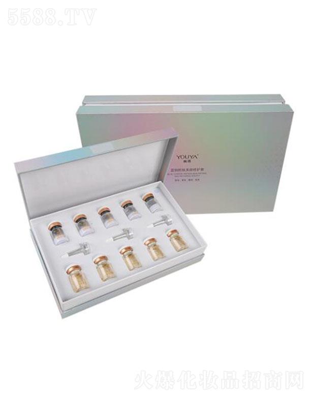 �����{(l��n)�~����������o(h��)�� ���w��ͨ͸����