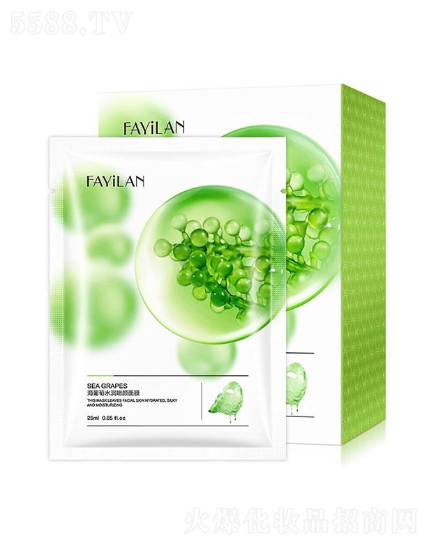 �V������֥��  �����m��������Ĥ   �aˮ����