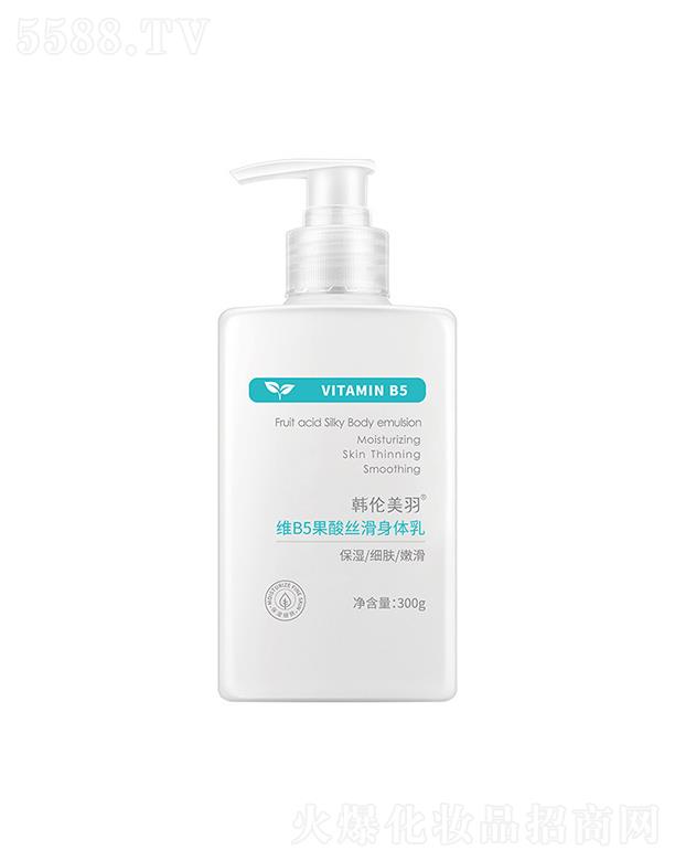 �n������SB5�������w�� 300g�������̝��������w