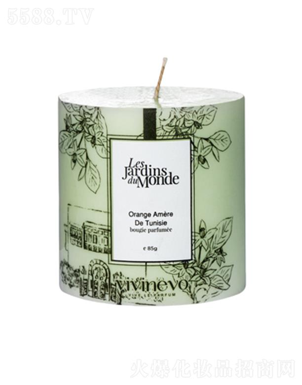 vivinevoͻ��˹��Ȼ��A��Ϟ�T