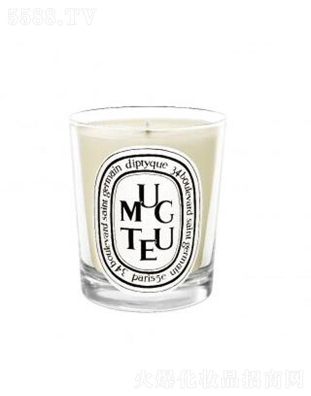 diptyque���Ϟ�T-��m