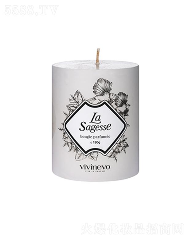 vivinevo����������Ϟ�T