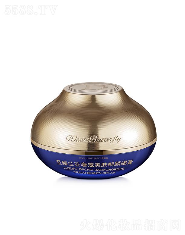 �����������m���݌����w����߸�