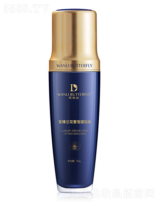 �����������m���݌�������