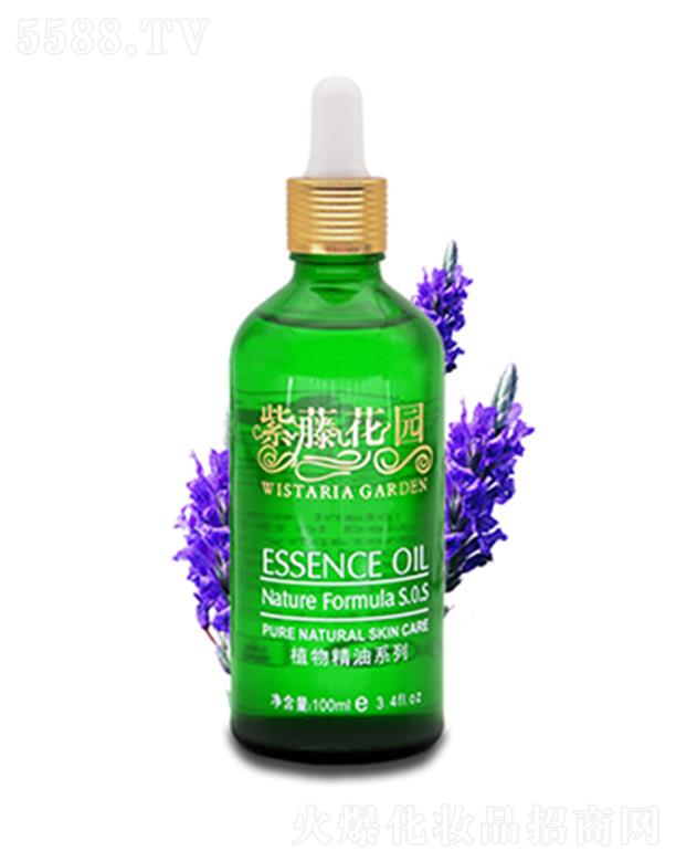 ���ٻ��@޹�²ݾ���