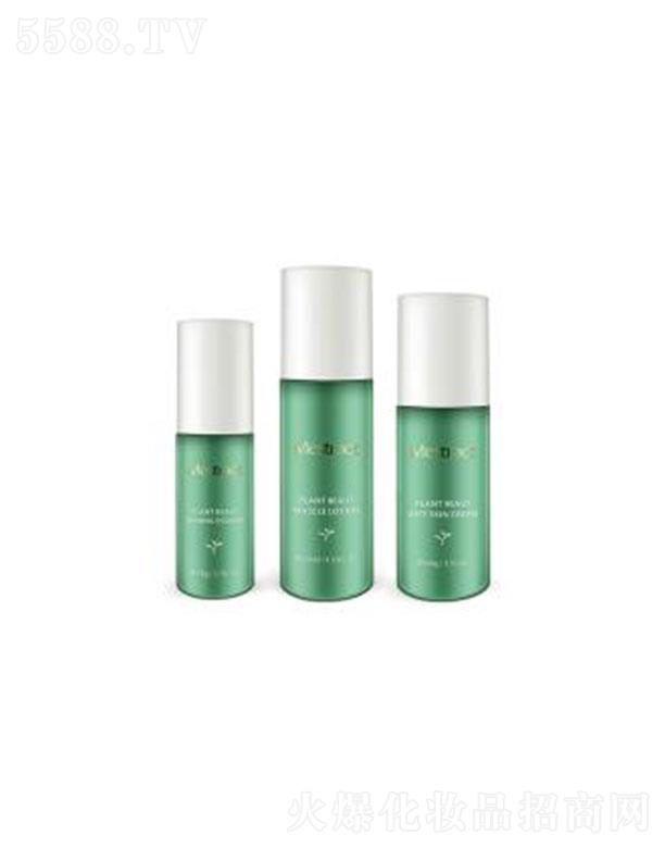 Mestractֲ����ϵ��