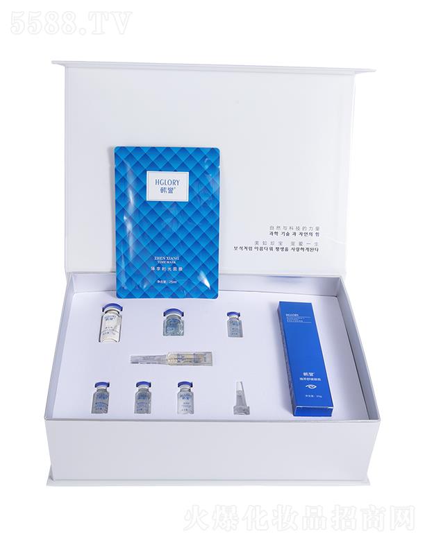 �n�u�{ؐ�݌���