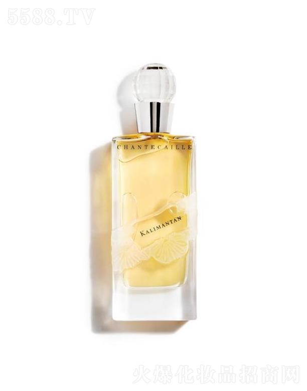 �㾟�����Q���Ϻ������޹�˾��Kalimantan