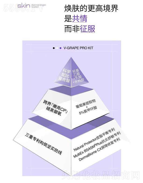 ���B�fݼ���F���޹�˾��ISOV����΢�⟨�w�wϵ